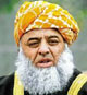 Egypt's Sufis to Form Popular Committees for Self-Defence